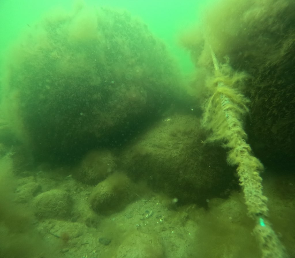 monitorering Egmont Revet 1 maj 24